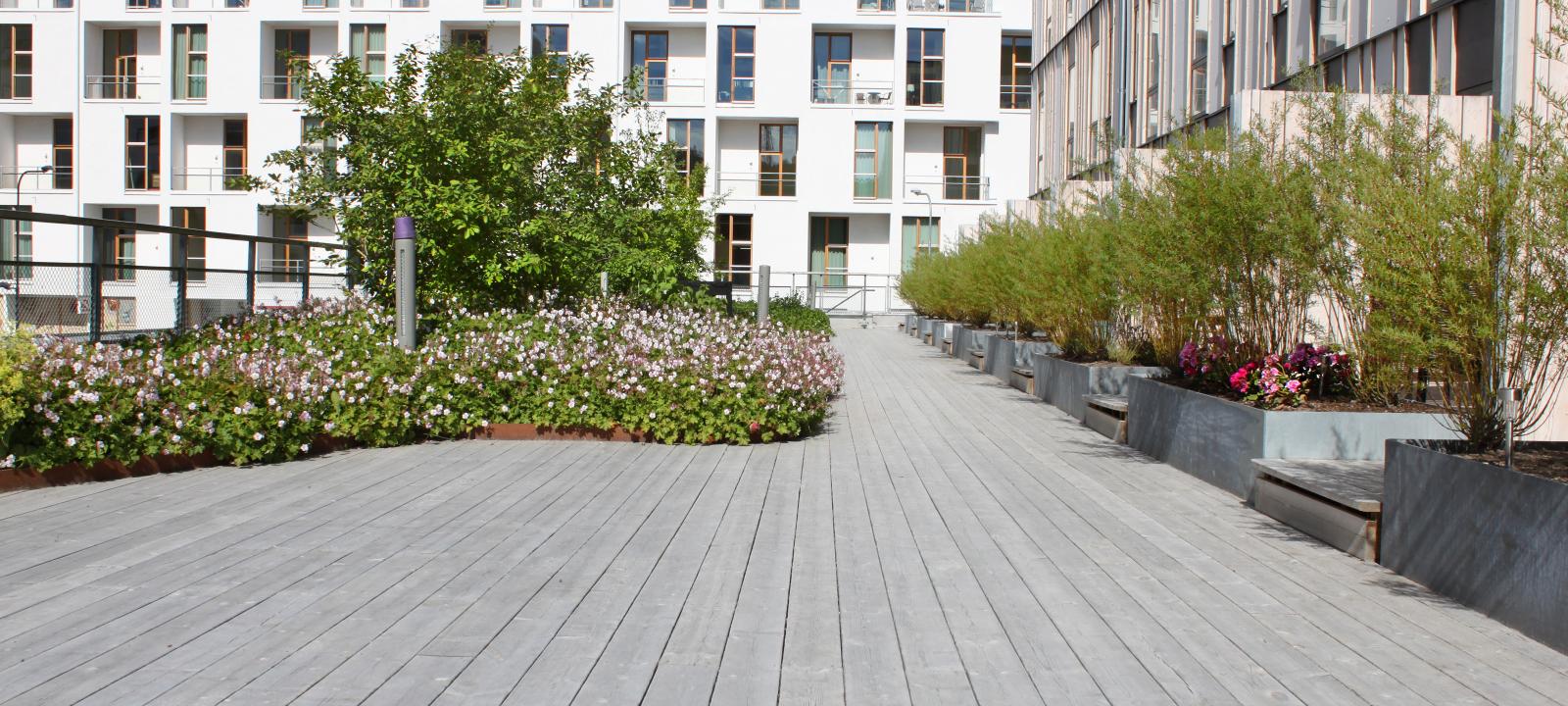 Roof terrace with wooden decking, plant beds and benches